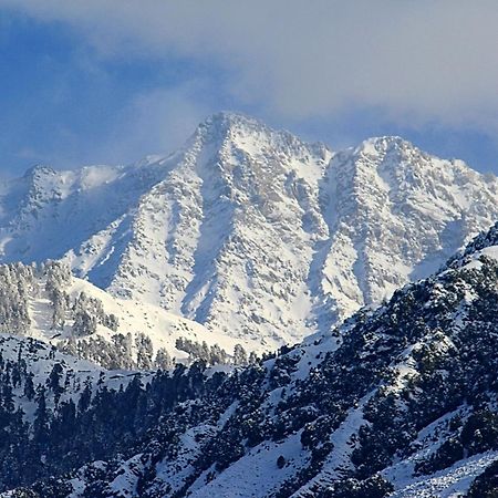 Hotel Bliss Valley Dharamshala - Beautiful View Of Mountains From Rooms Ngoại thất bức ảnh