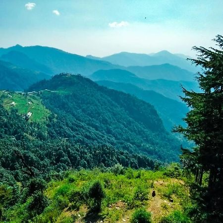 Hotel Bliss Valley Dharamshala - Beautiful View Of Mountains From Rooms Ngoại thất bức ảnh