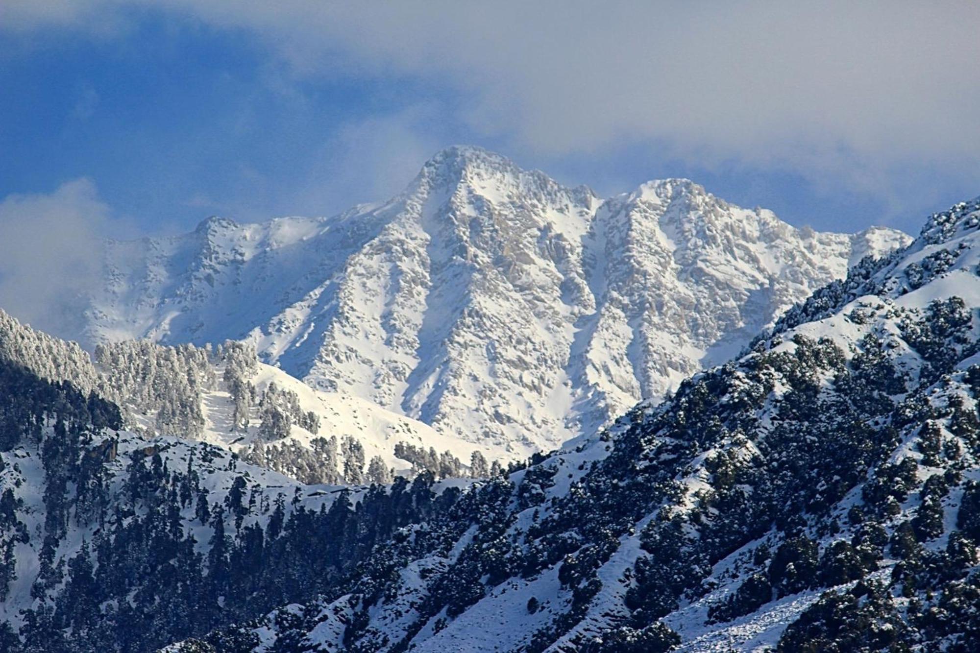 Hotel Bliss Valley Dharamshala - Beautiful View Of Mountains From Rooms Ngoại thất bức ảnh