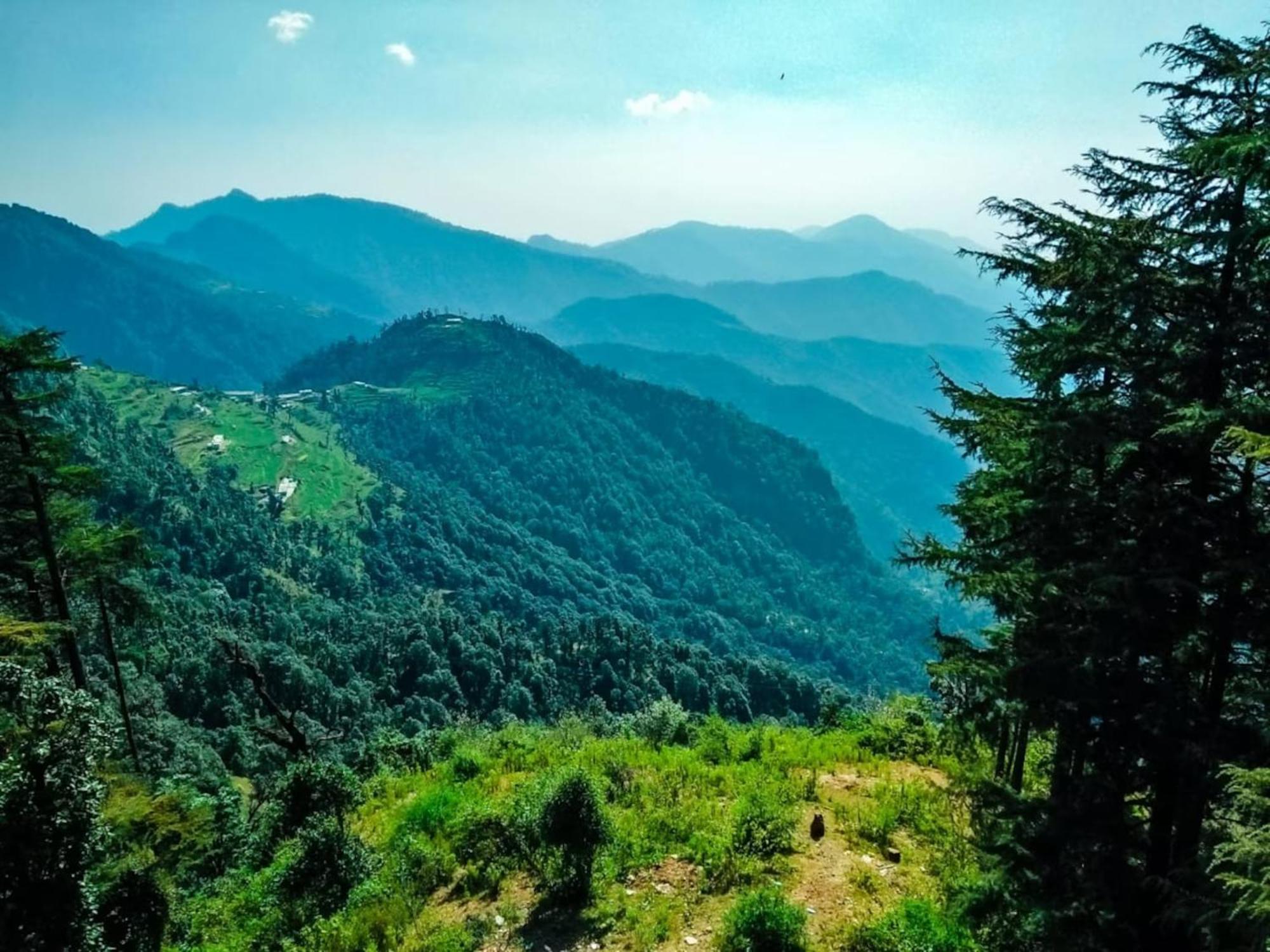 Hotel Bliss Valley Dharamshala - Beautiful View Of Mountains From Rooms Ngoại thất bức ảnh